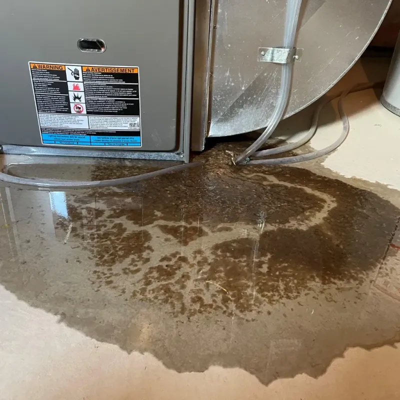 Appliance Leak Cleanup in Iroquois Point, HI
